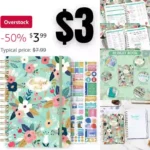 Budget Book, 12 Monthly Financial Organizer, Budget Planner organizer with Expense Tracker Undated Accounts Book