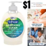 Softsoap Liquid Hand Soap, Aloe