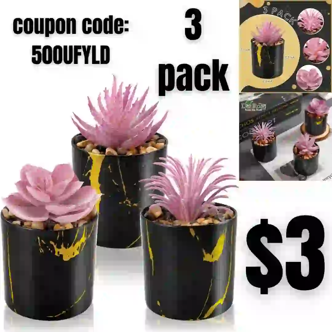 Dicasser Basketball Organizer Rack Rolling Sports Equipment Storage with Wheels