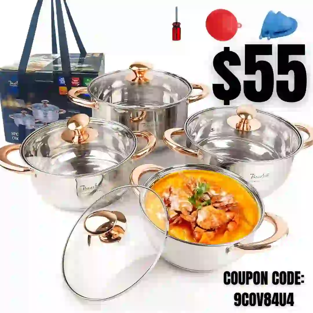 Paint Sprayer,700W HVLP Electric Paint Spray Gun with 4 Nozzles