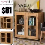 Baxton Studio Zentra Storage Cabinet, One Size