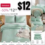 Twin XL Comforter for College Girls Boys – 3 Pieces Sage Green Textured Comforter Set