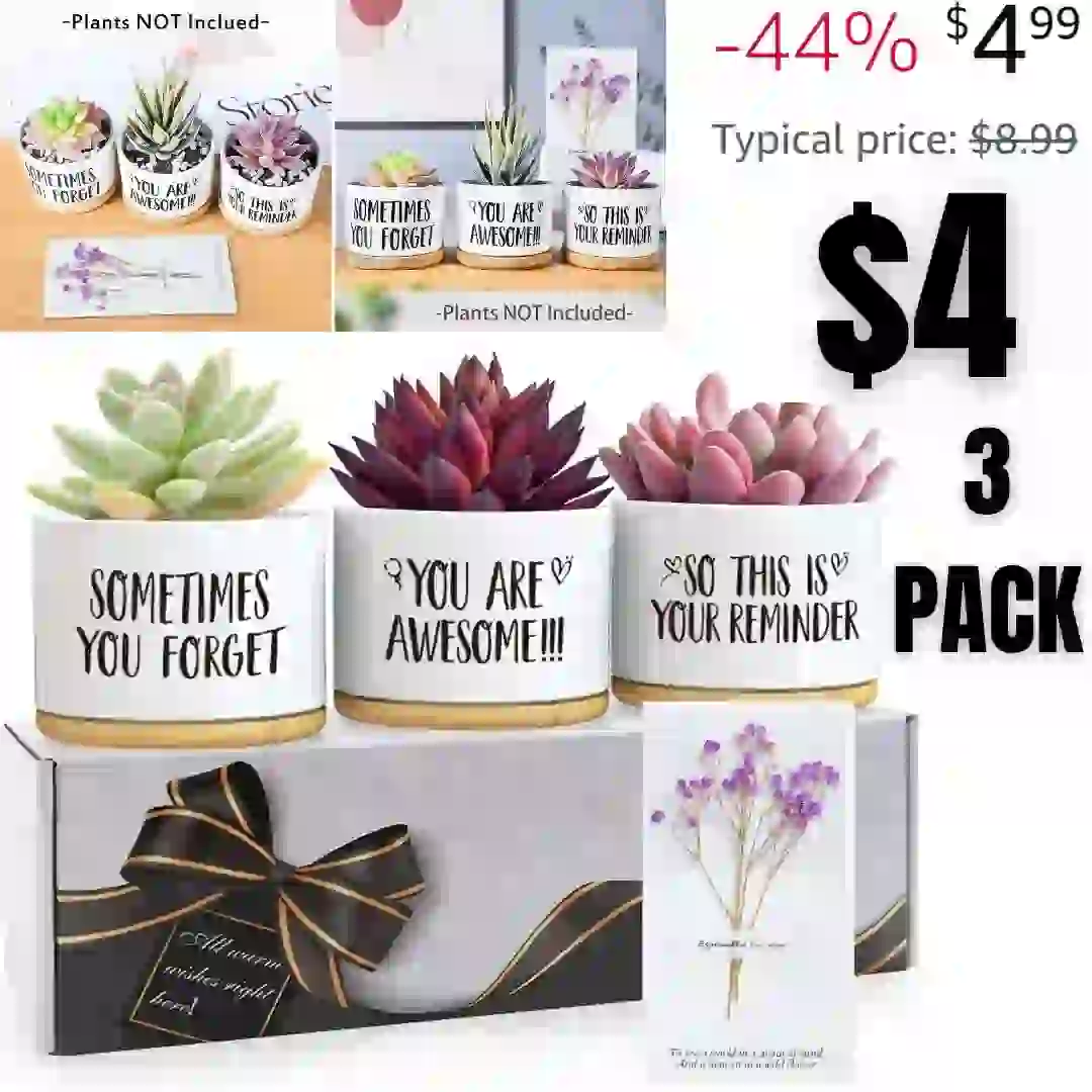 Instant Vortex Plus 6QT Air Fryer with Odor Erase Technology, 6-in-1 Functions that Crisps