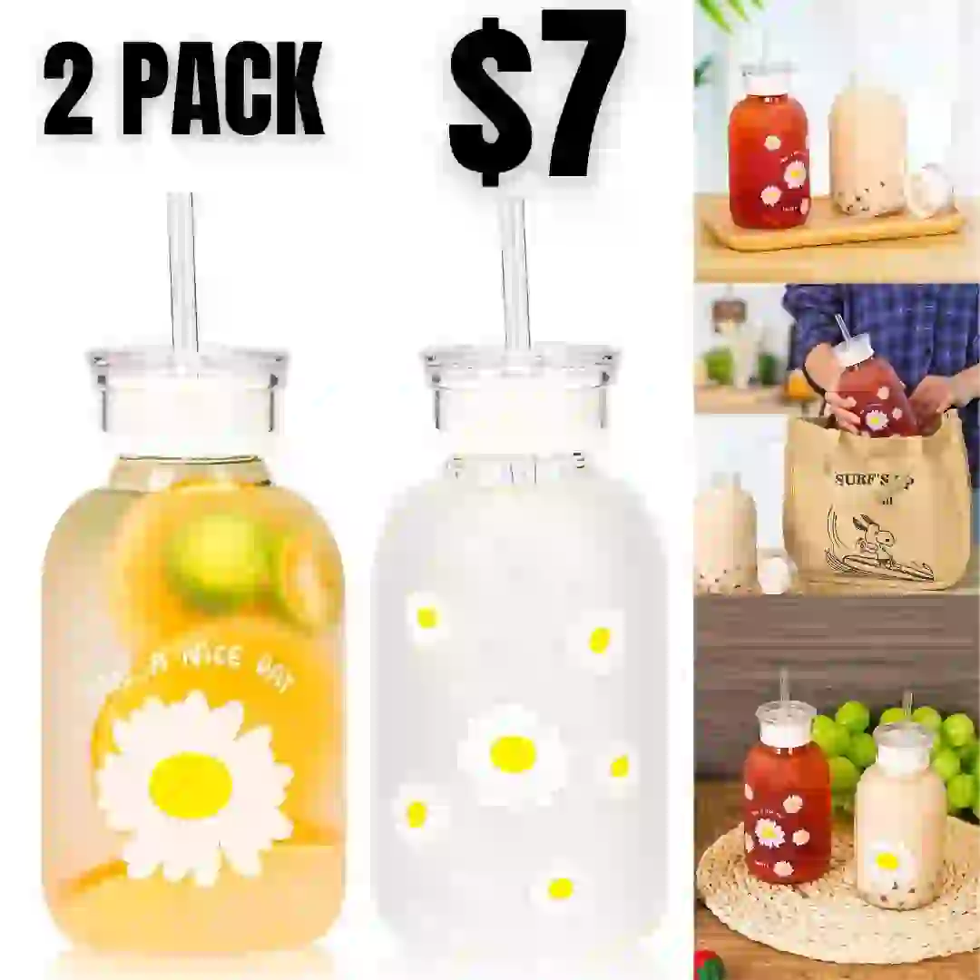 Moretoes 2pcs 16oz Cute Glass Water Bottles with Lids and Straws