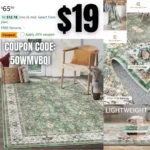 Washable Rugs for Living Room Entryway Rug, Non-Slip Foldable Small Rugs,Stain Resistant Area Rugs