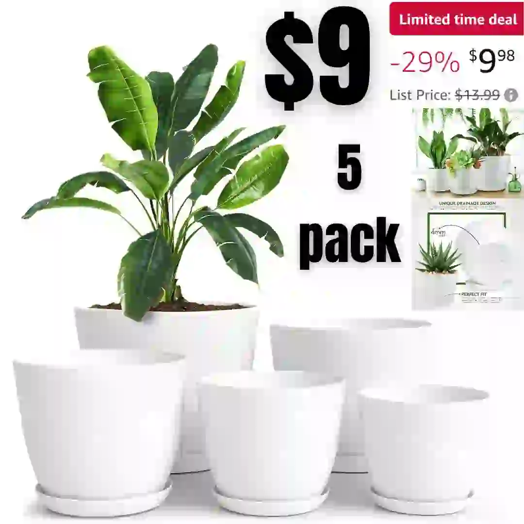 3-in-1 SleepyTime Humidifier