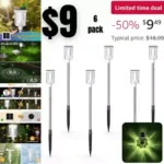 Outdoor Solar Pathway Lights 6 Pack