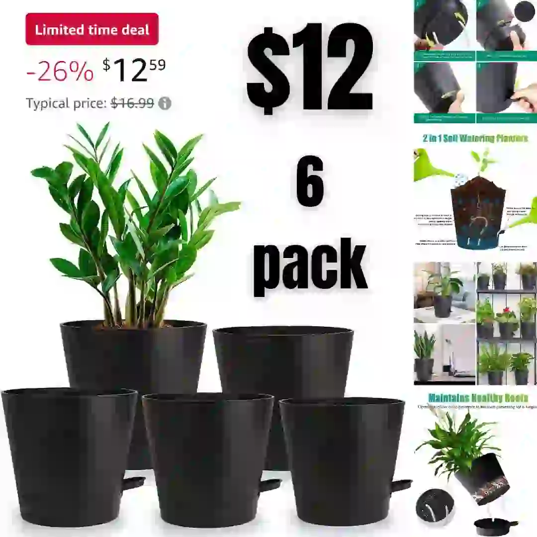 12pack Kitsch Dermaplaning Tool Face Razors for Women