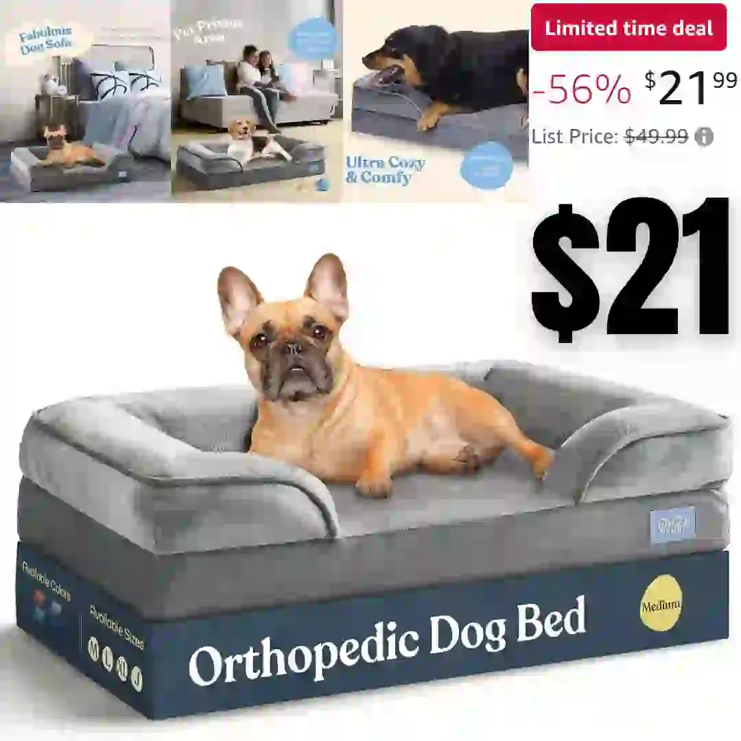 Teeth Whitening Kit, LED Teeth Whitening Light